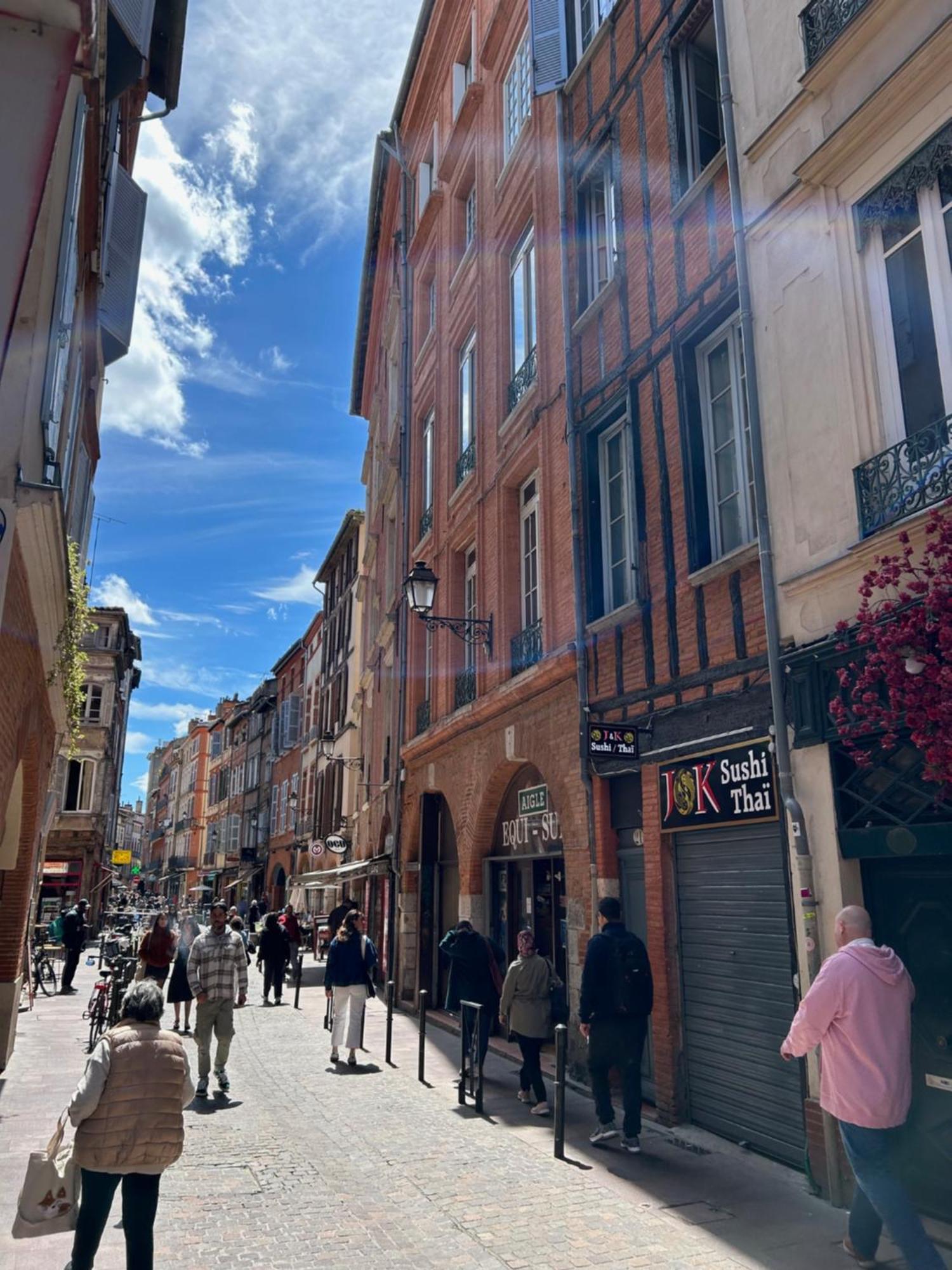 Apartamento Au Charme Des Carmes - T1 Sur Cour - Metro A & B Toulouse Exterior foto